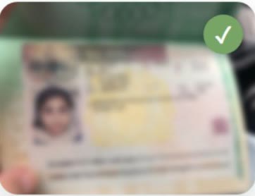 Student visa approval for Rida, document blurred for privacy